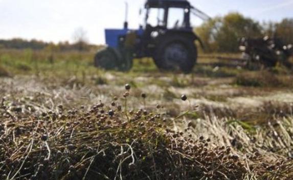 Крымский тракторист погиб на рисовом поле